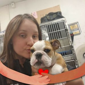 Meet your Posher, Tiffany